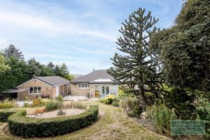 Photo 22- click for photo gallery